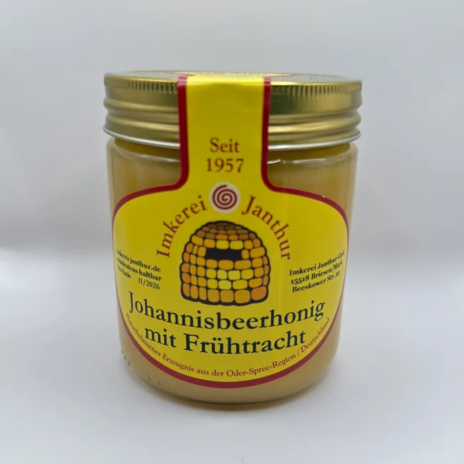Glas Johannisbeerhonig mit Frühtracht der Imkerei Janthur, Produktfoto