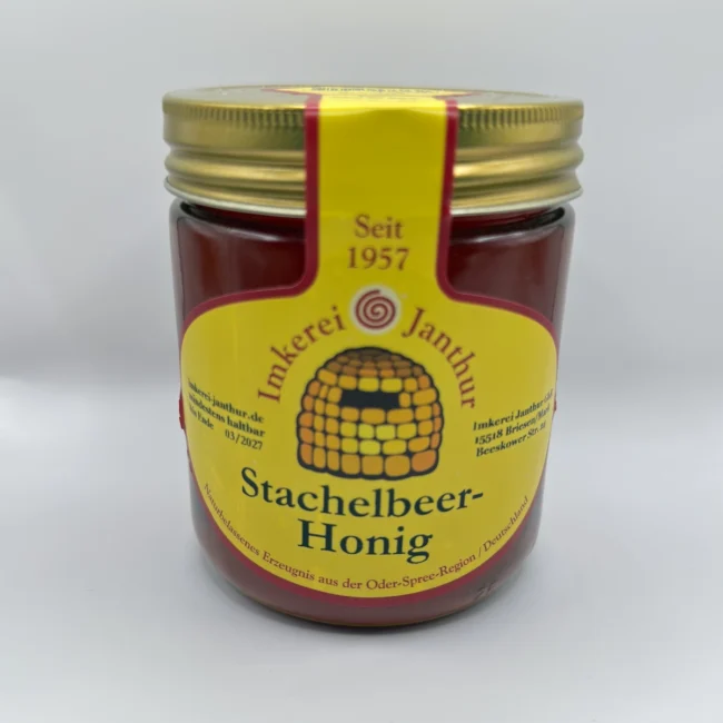 Glas Stachelbeerhonig vor weißem Hintergrund